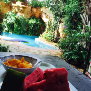 tropical oasis